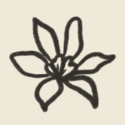 Casa_Moum_Lotus-efe9d9