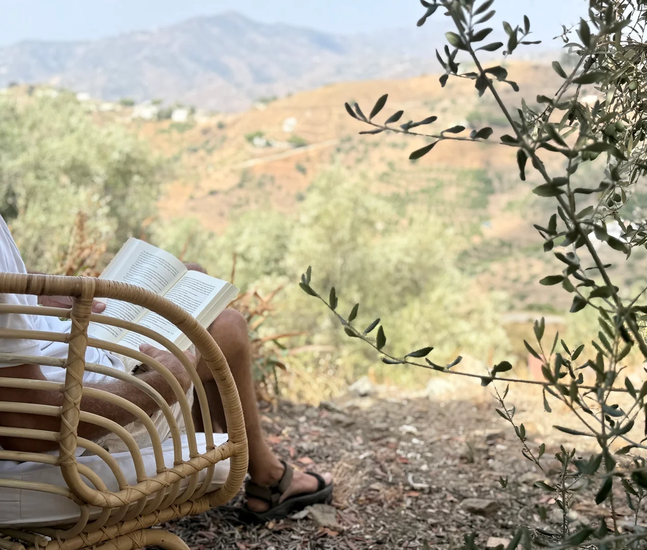 Photo 23-08-2025, 12 24 40 (1)