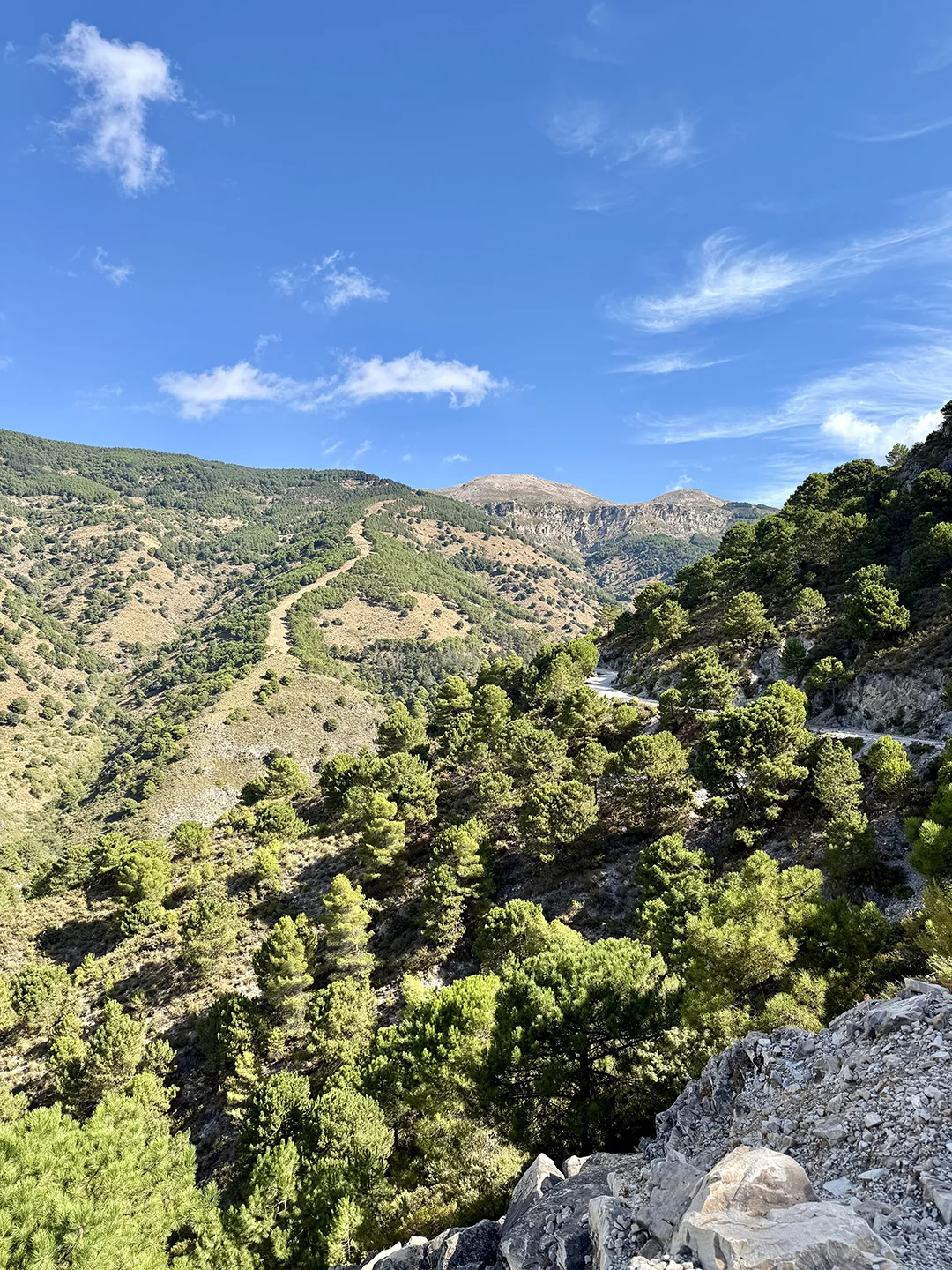 Photo 28-09-2025, 12 10 40 copy