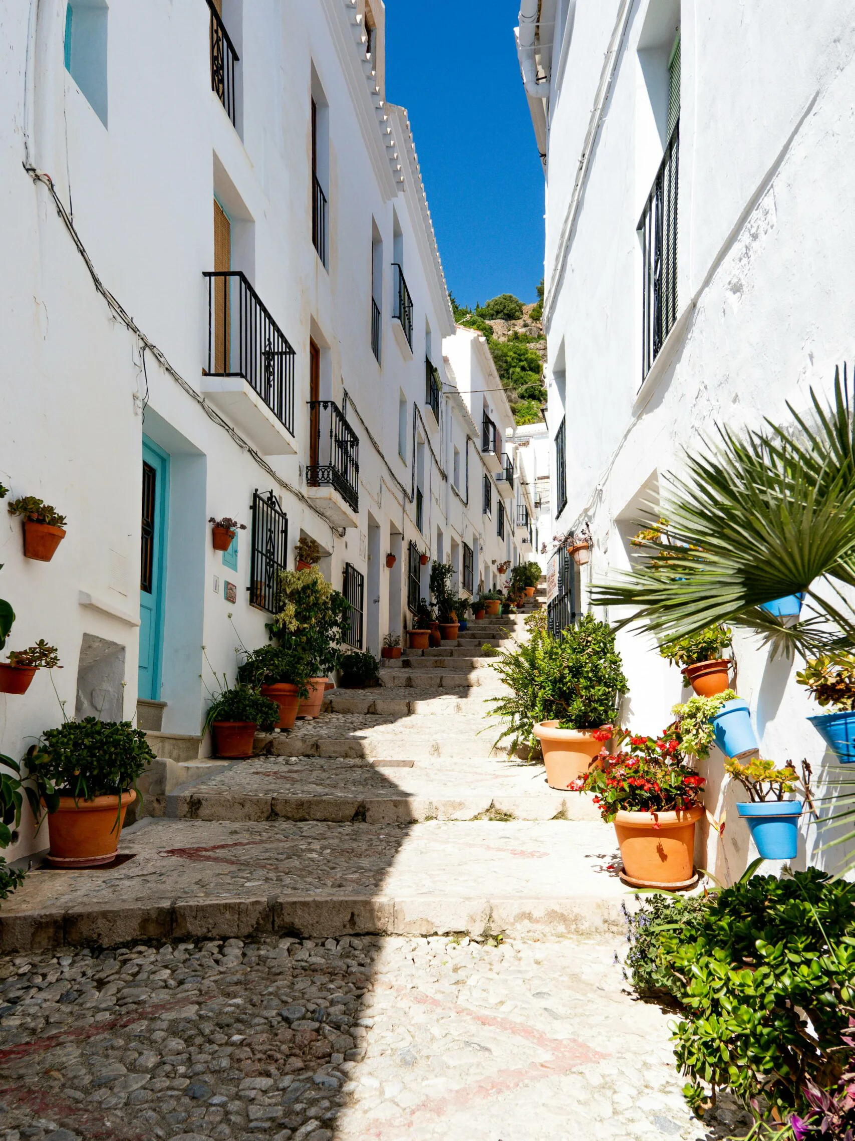 pexels-liisbet-luup-121486327-32891322-scaled copy