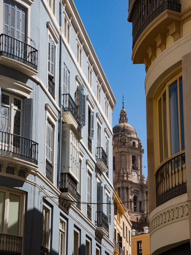 pexels-liisbet-luup-121486327-33118518 copy